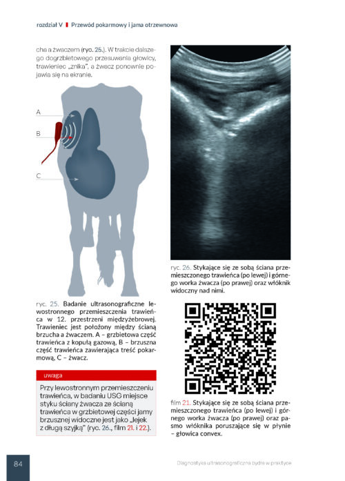 Diagnostyka ultrasonograficzna bydła - obrazek 6