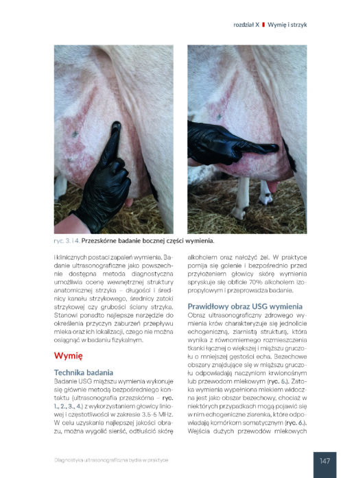 Diagnostyka ultrasonograficzna bydła - obrazek 8