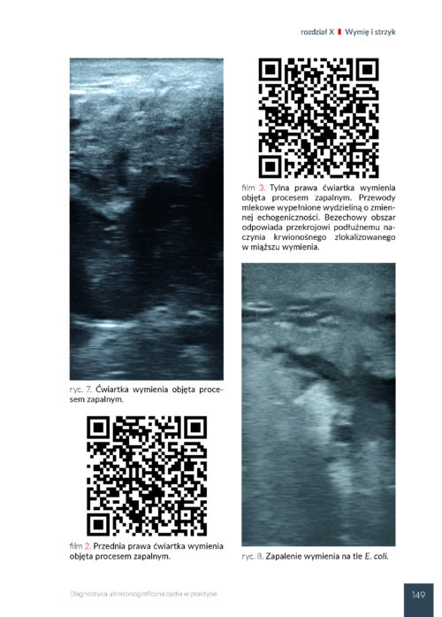 Diagnostyka ultrasonograficzna bydła - obrazek 9