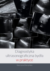 Diagnostyka ultrasonograficzna bydła
