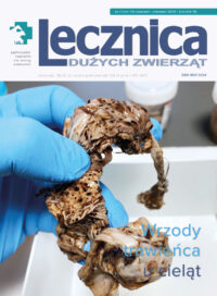 prenumerata roczna (wydanie cyfrowe)