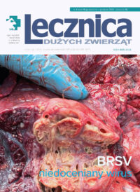 pojedyncze wydanie (papierowe)