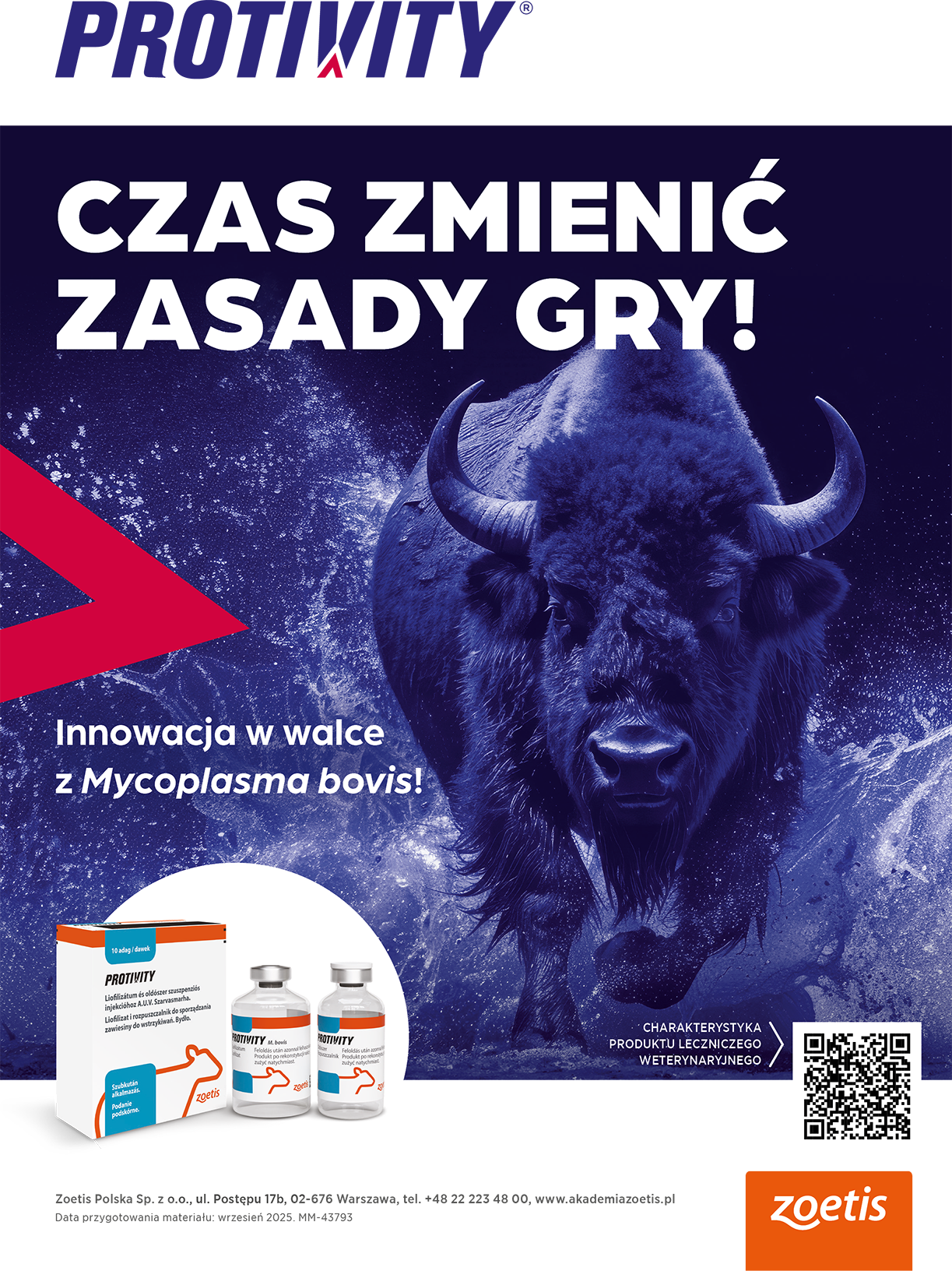 Zdjęcie w zajawce