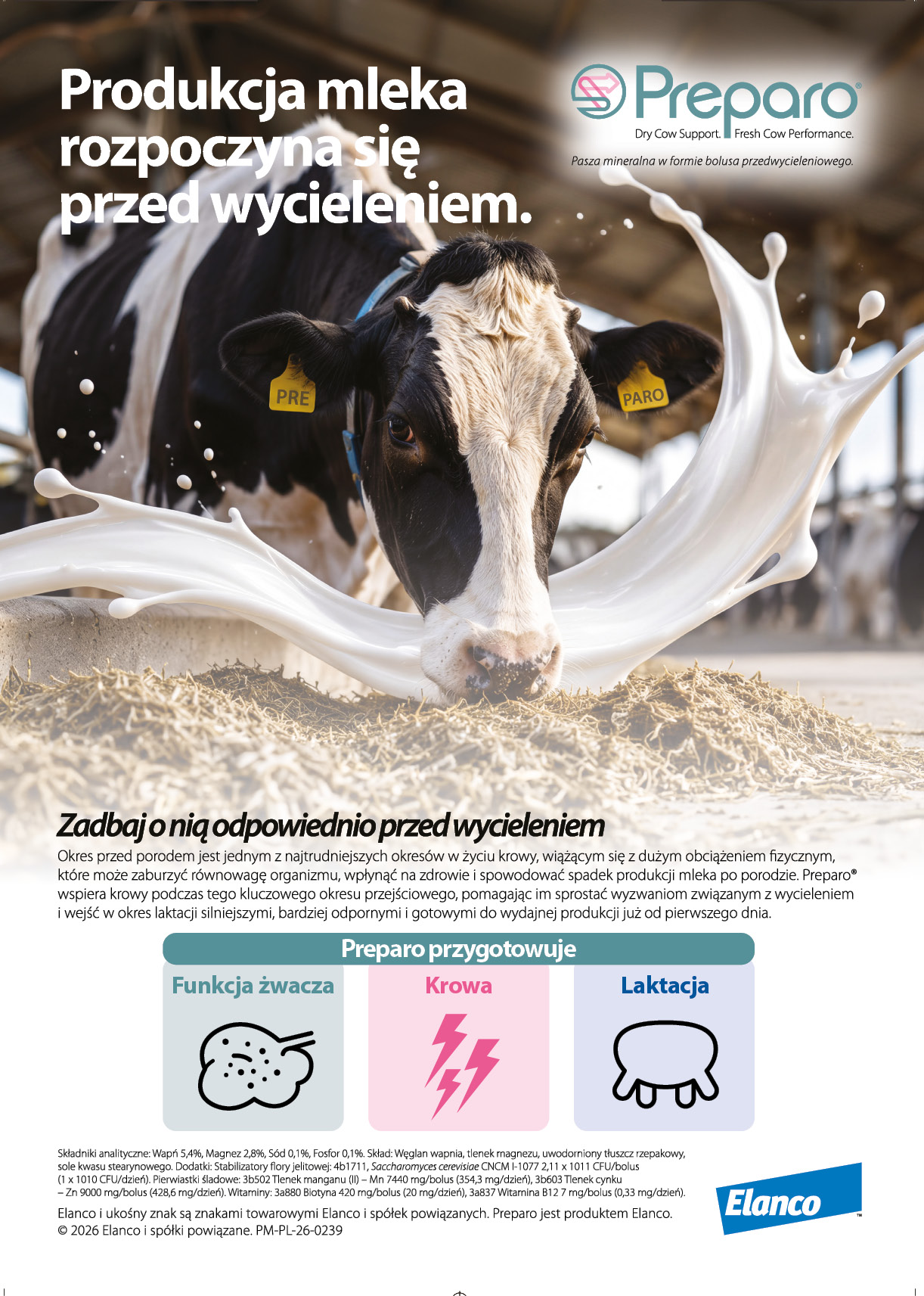 Zdjęcie w zajawce
