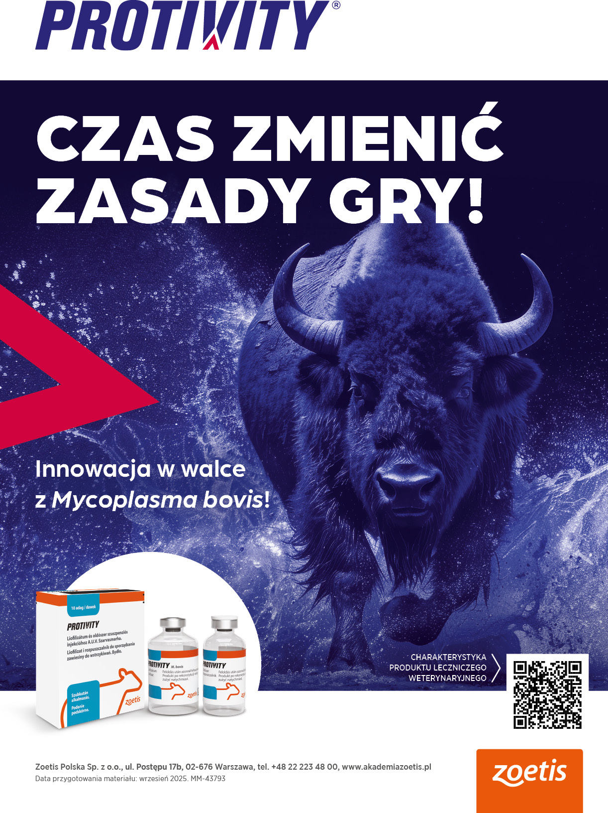 Zdjęcie w zajawce