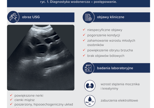 ryc1_Diagnostyka